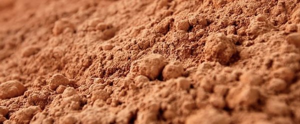 Kieselgur – natürliches Sedimentgestein als Pulver